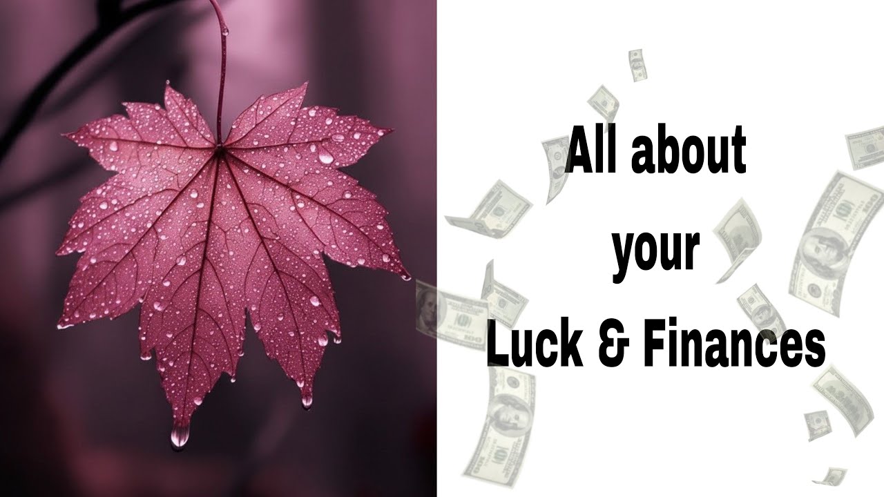 All about your current Luck and Finances | Manipuri Tarot Reading
