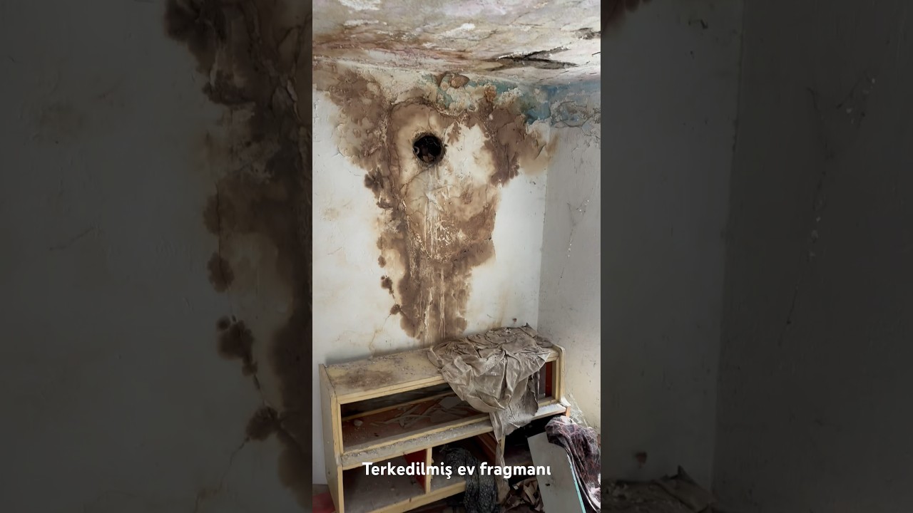 Terkedilmiş ev fragmanı