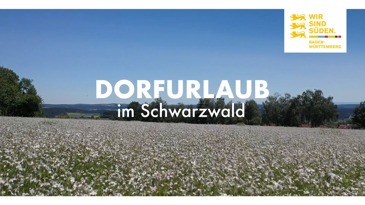 1. Dorfurlaub im Schwarzwald | Loßburg