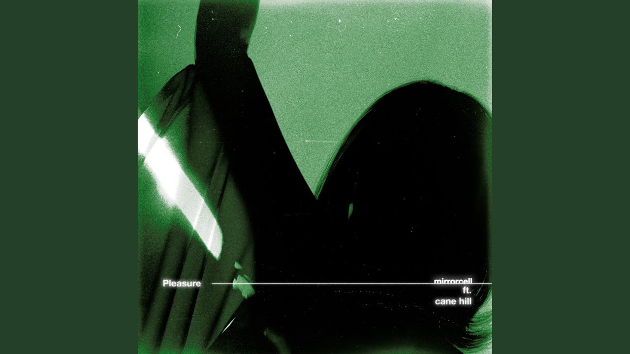 Pleasure (ft. Cane Hill)