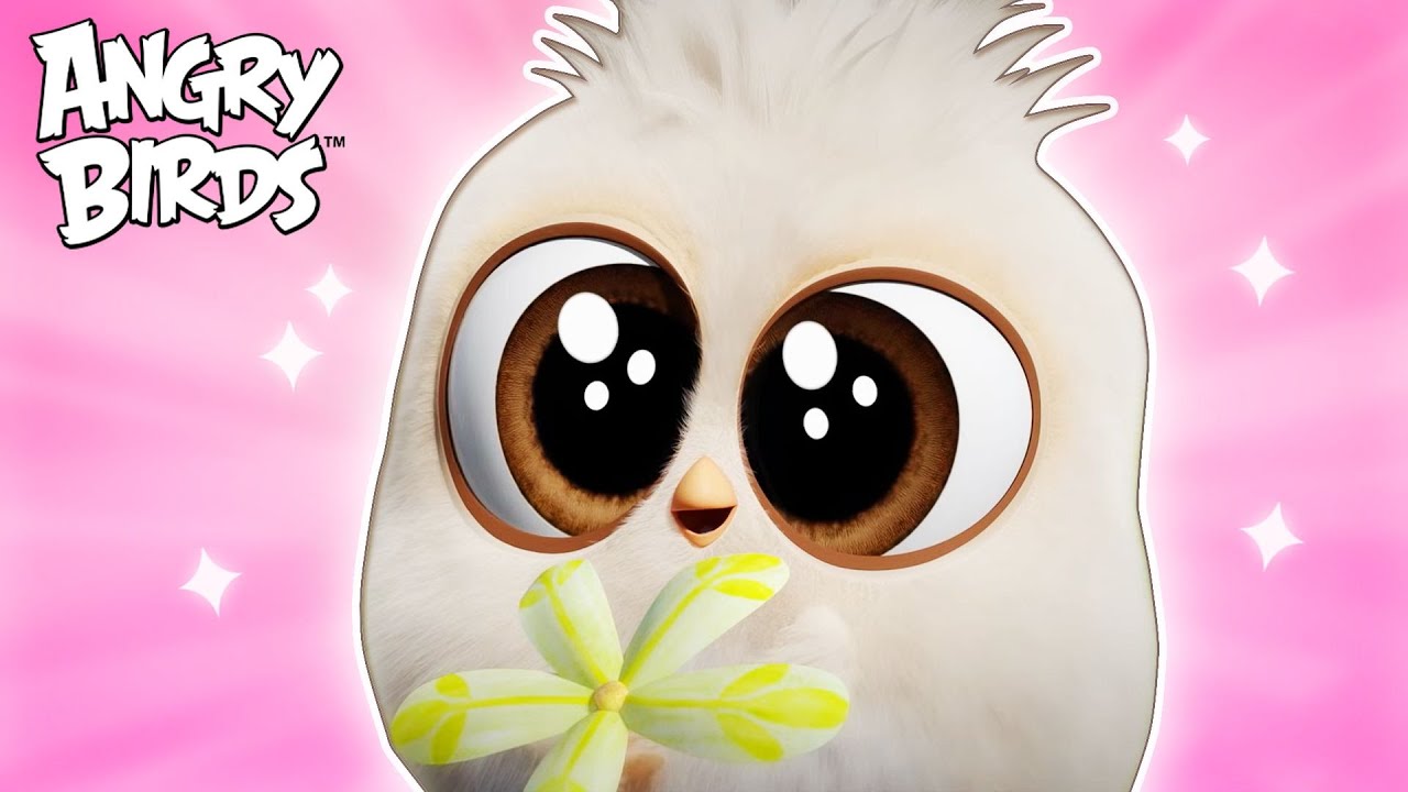 The Most HEARTWARMING Hatchling Moments EVER! 🥺💖
