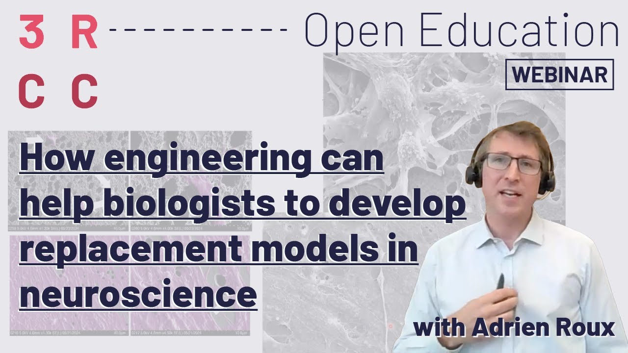 How engineering can help biologists to develop replacement models in neuroscience by Adrien Roux