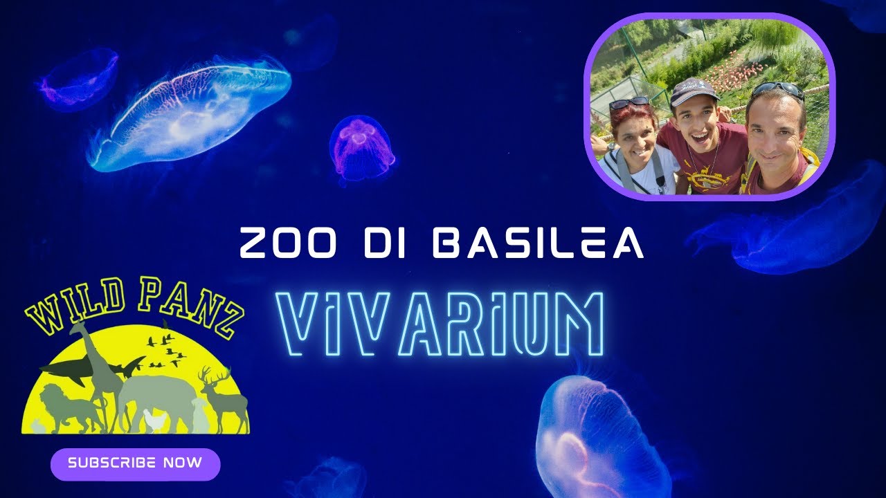 ACQUARIO & TERRARIO dello ZOO di BASILEA #animals #animali #animaux #zoo #parks #travel #wildlife