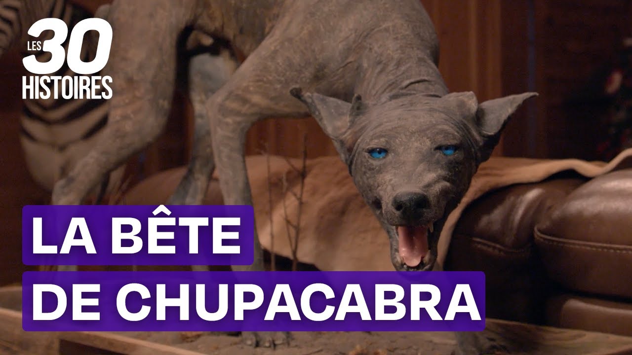 La vérité sur la bête sanguinaire de Chupacabra - Les 30 histoires mystérieuses S1