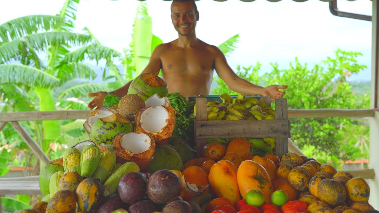 INDIGESTÃO? COMA MONO REFEIÇÃO! UM ALIMENTO POR VEZ A FORMA NATURAL DE COMER