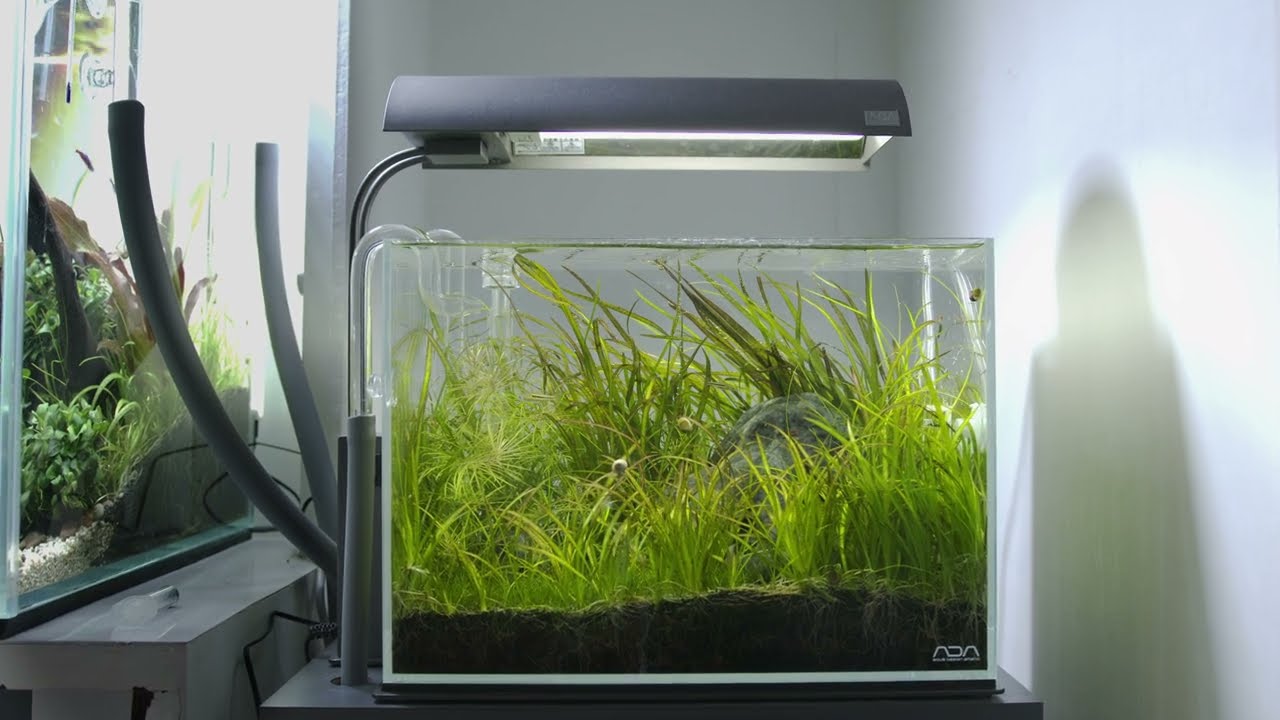 ADA Cube Garden Mini M