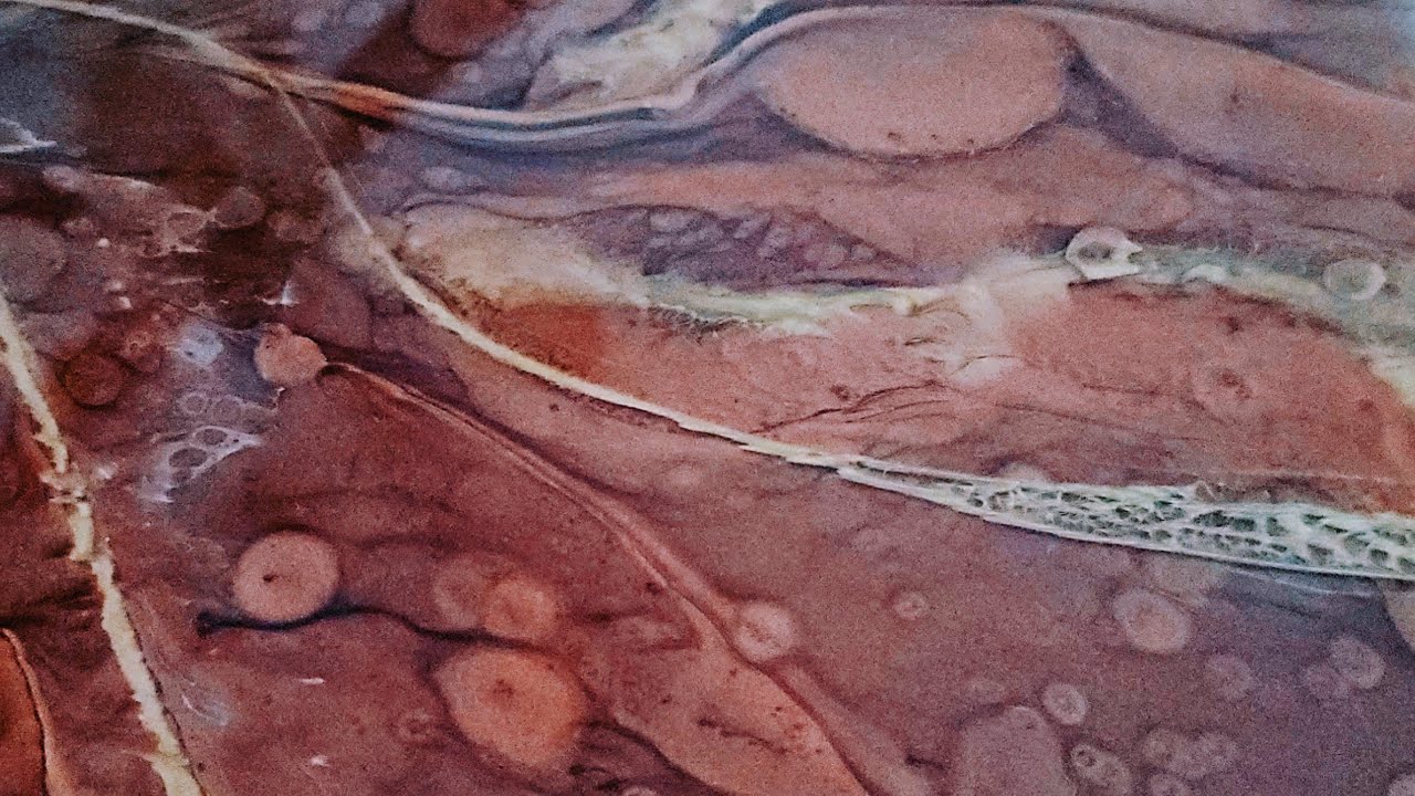 Simple Beginners Epoxy Resin Tutorial With Special Effects.  Less is best! Tammy Anderson Art
