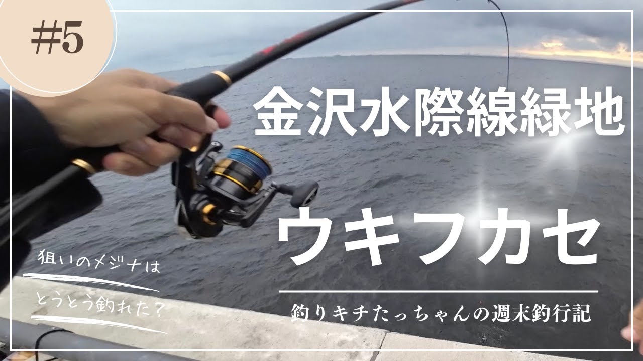 【金沢水際線緑地】狙いのメジナは足元にいた