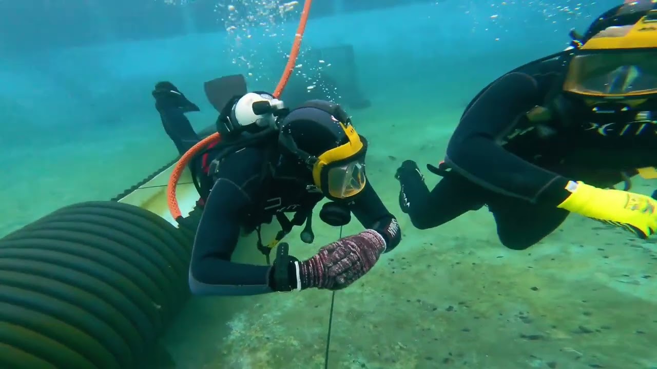 Buceador profesional curso recolector de recursos marinos
