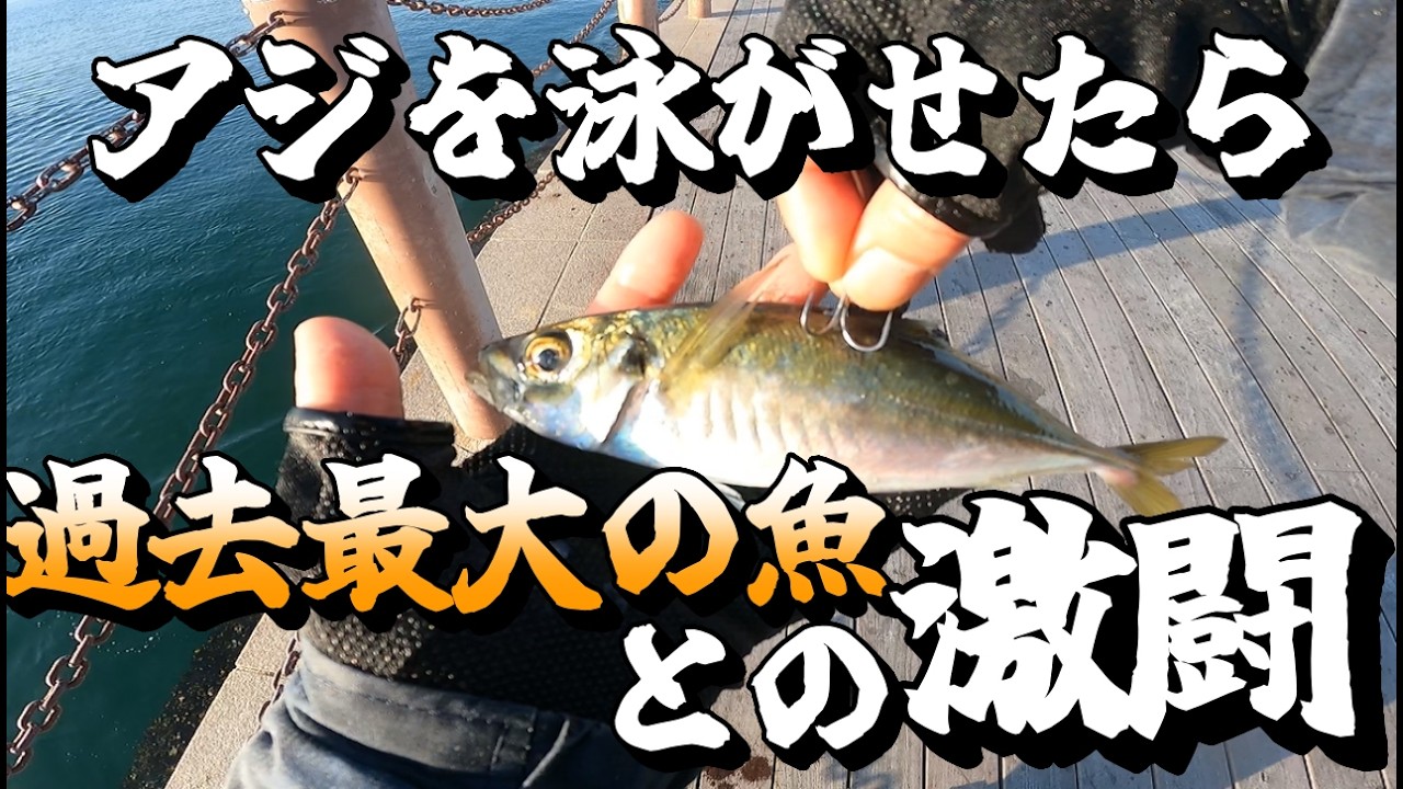 【泳がせ釣り】アジを泳がせたら過去最大の魚が喰ってきた！規格外の魚との激闘！