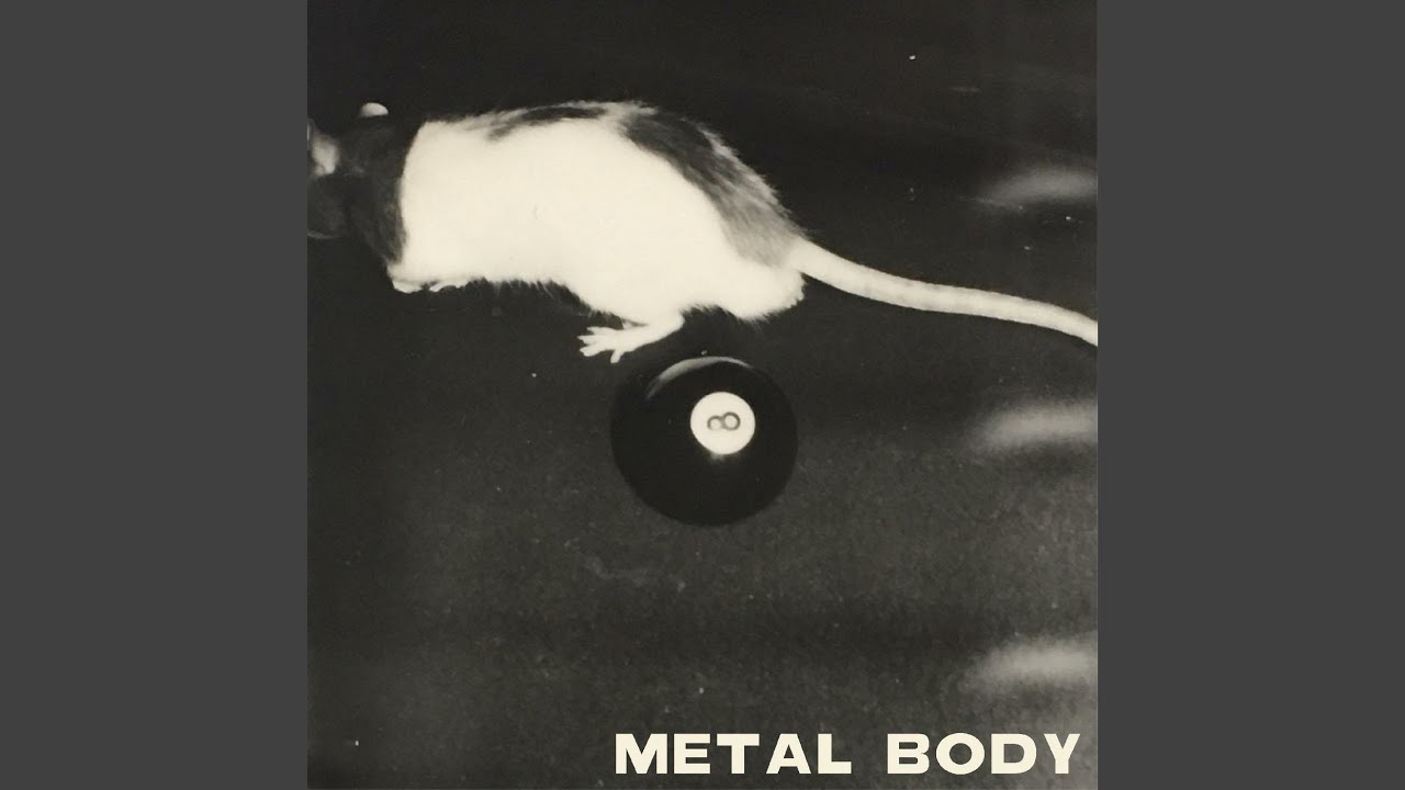 Metal Body