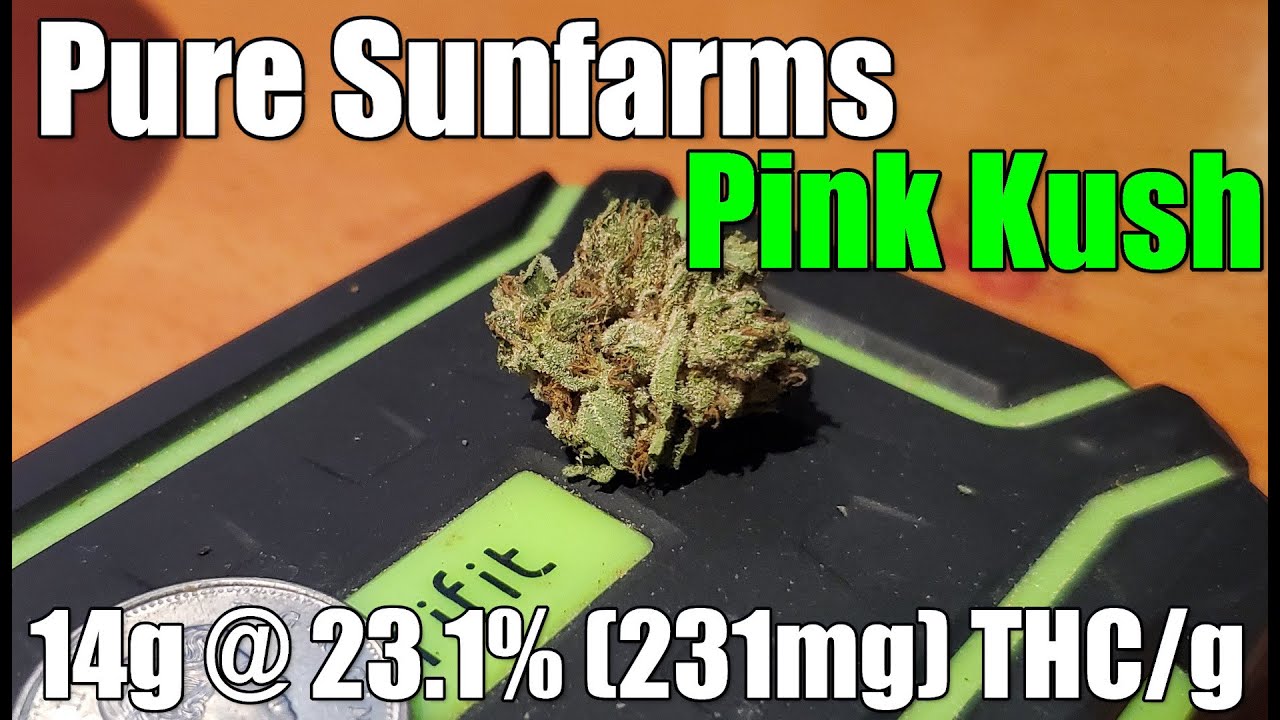 Pure Sunfarms - Pink Kush - Unboxing Review - 14g @ 23.1% (231mg) THC/g (+Extreme Closeups)
