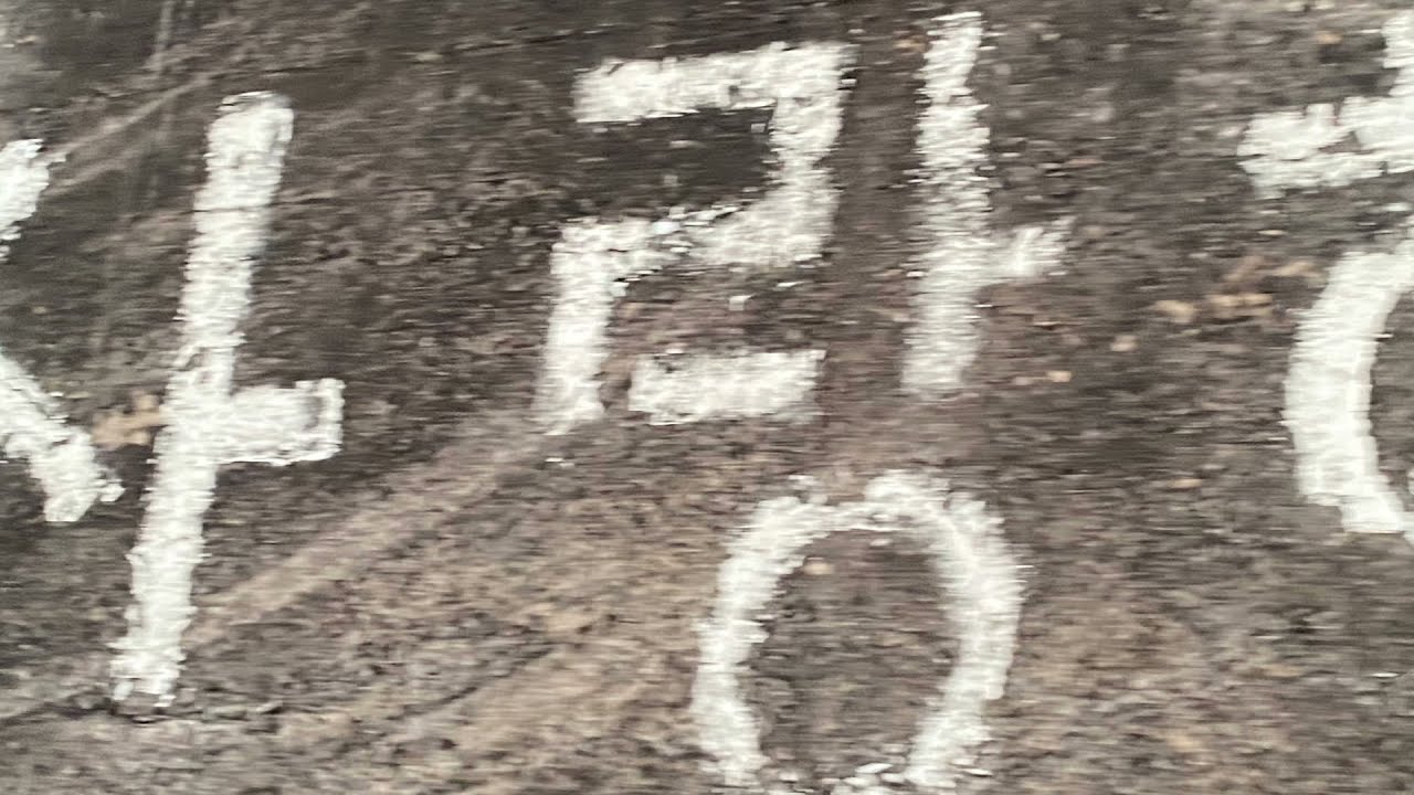 나도