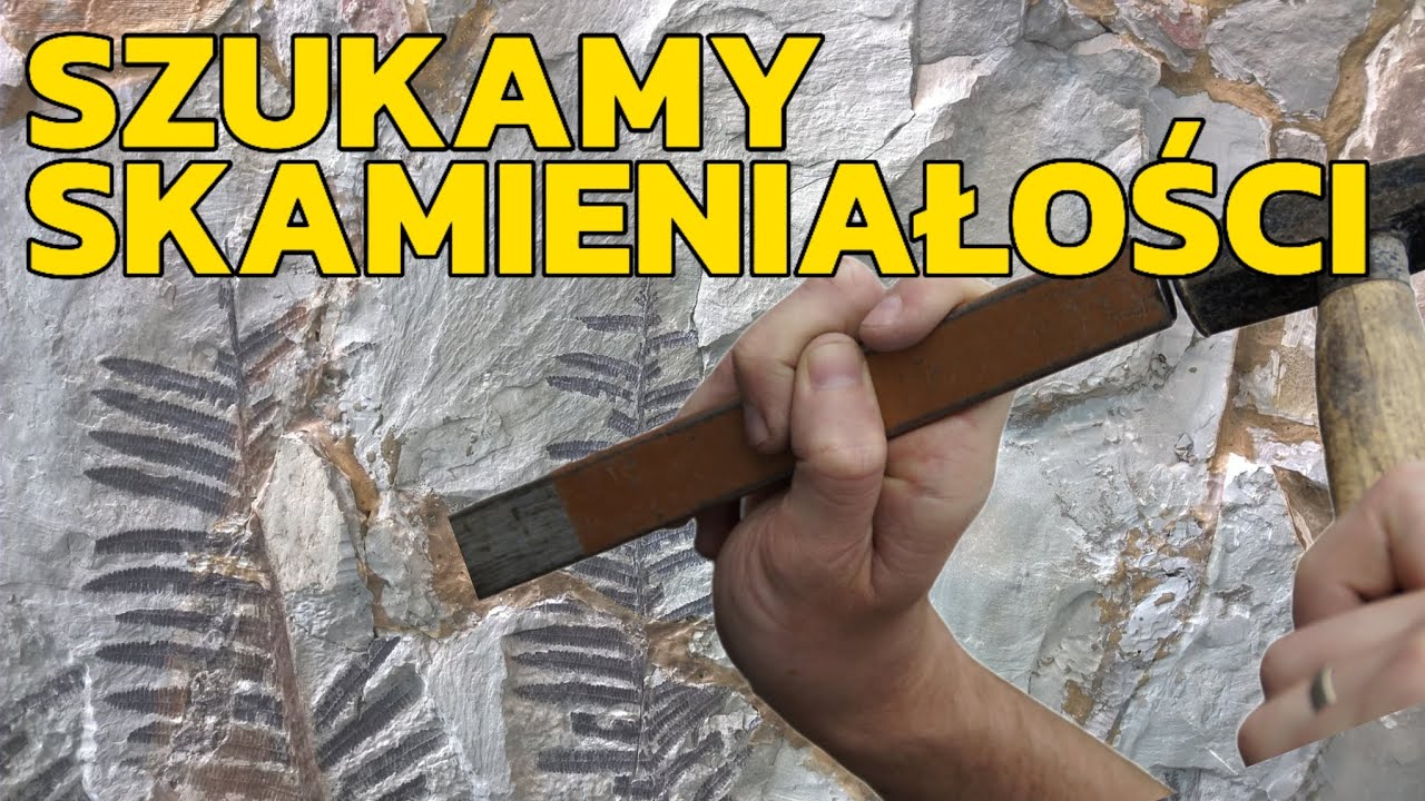 Szukanie skamieniałości, minerał&oacute;w. Miejsce pełne skamielin