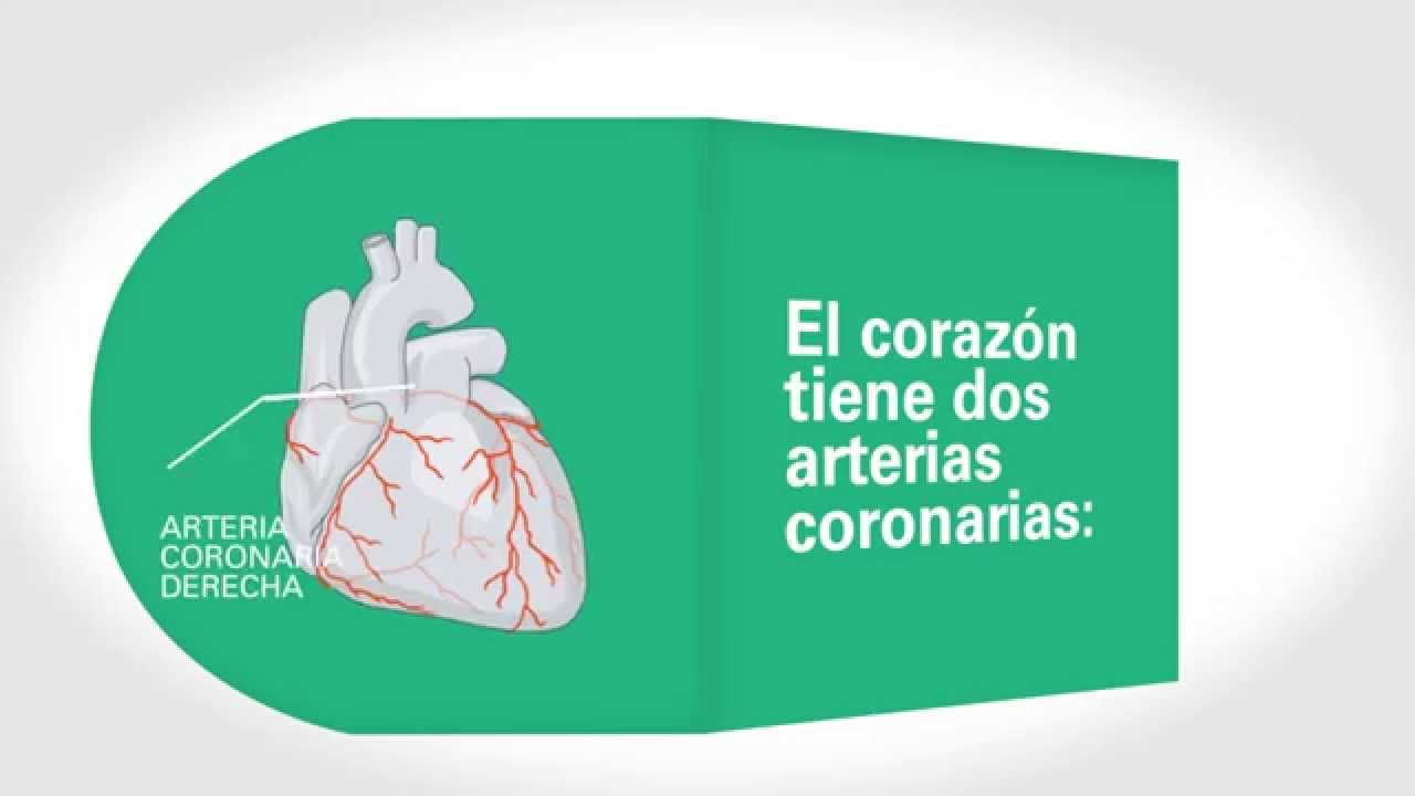 Las arterias coronarias