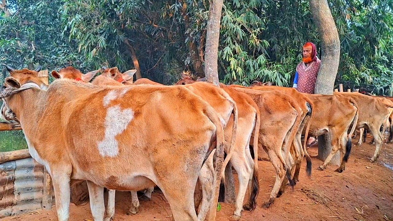 @আজ ২ ফেব্রুয়ারী