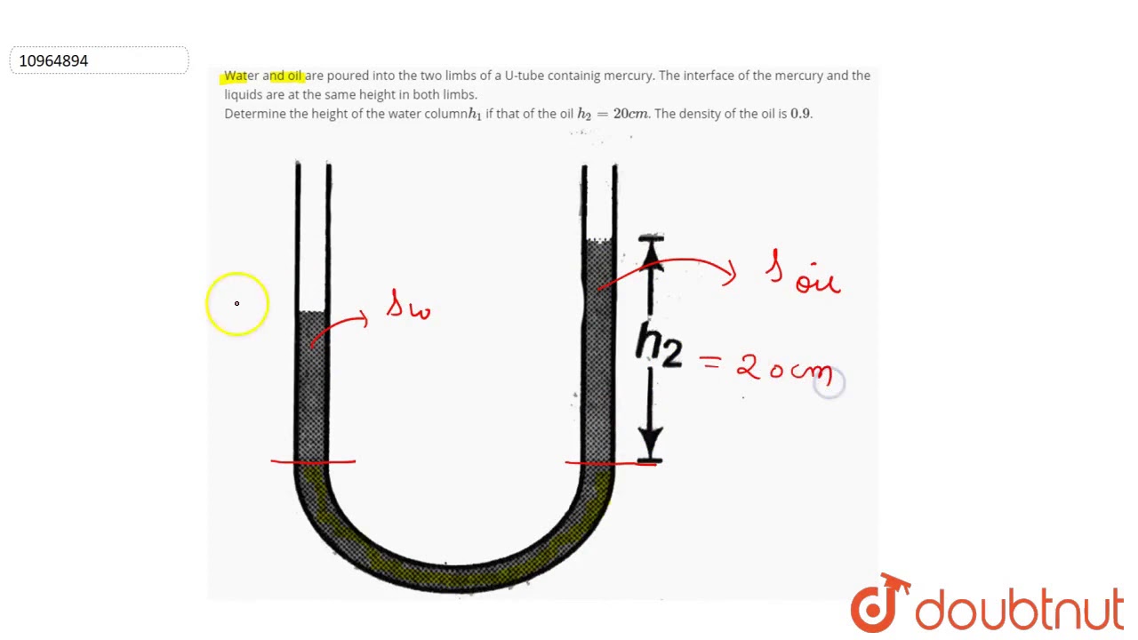 Water and oil are poured into the two limbs of a U-tube containig mercury. The interface