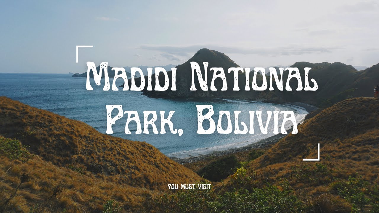 Discovering the Wonders of Madidi National Park, Bolivia | Epic Nature Adventures