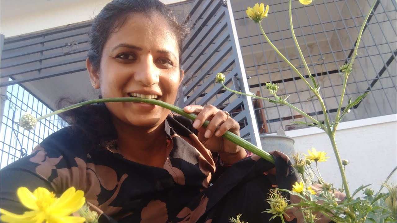 ಹೂವಿನ ಗಿಡಗಳು ಮತ್ತು ತರಕಾರಿ ಗಿಡಗಳು ಹೇಗಿದೆ ನೋಡೋಣ ಬನ್ನಿ 🌸🌿🌶️