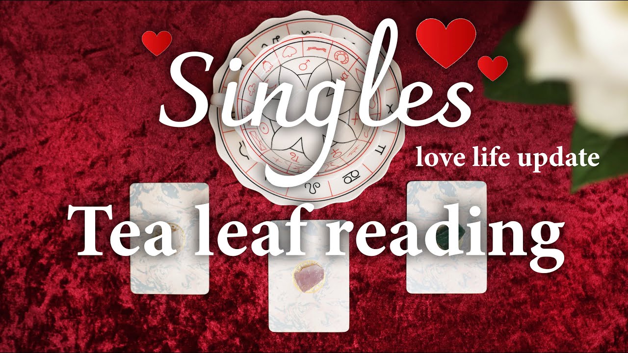SINGLES LOVE LIFE UPDATE 💕 TEA LEAF READING ☕️🍃 PICK A CARD