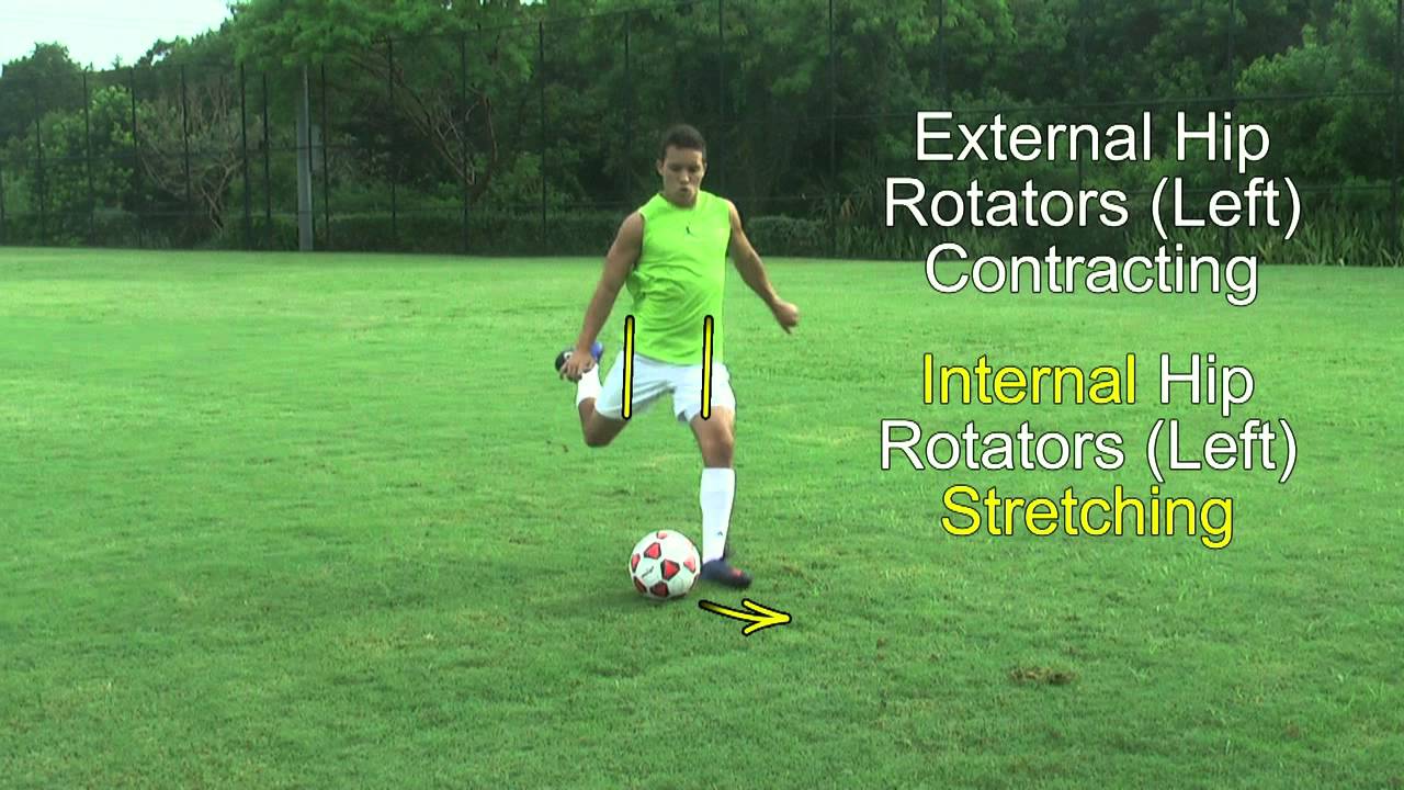 Internal and External Hip Rotation Muscles Needed For Stronger Soccer Kicks
