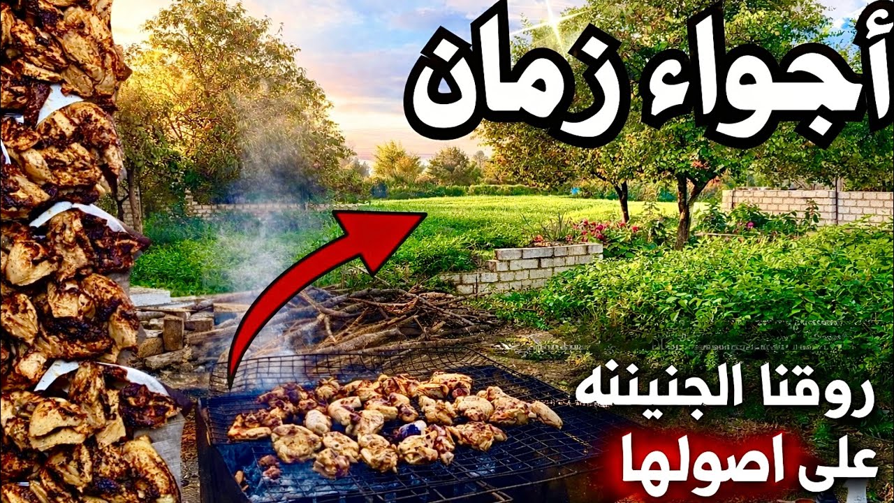 شوينا فراخ على الحطب وروّقنا الجنينه بإيدينا | يوم هادي وجميل في البيت الأخضر🛖