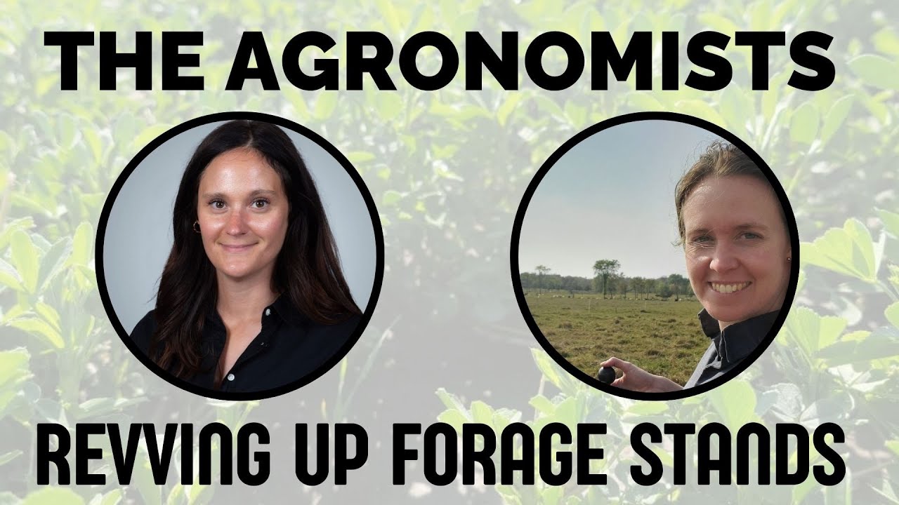 The Agronomists, Ep 228: Revving up triticale stands with Joanna Follings and Christine O'Reilly