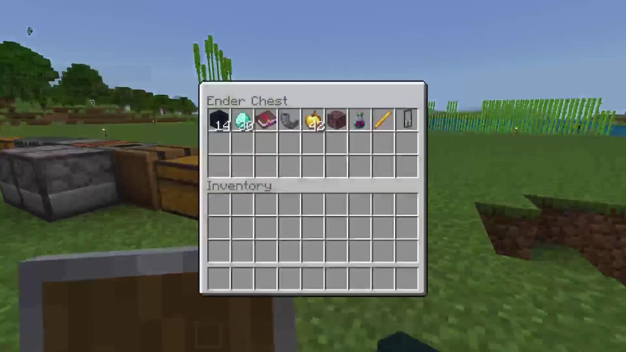 We try to find forest Blazebound SMP