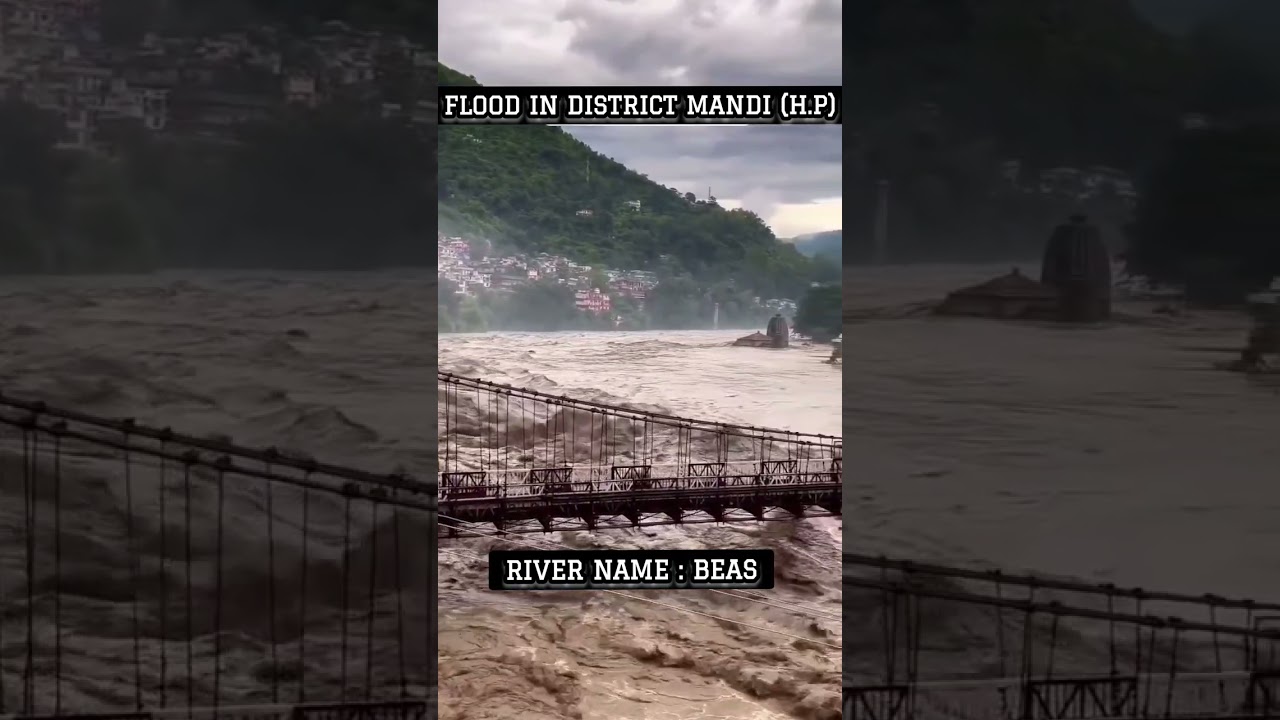 #mandi #flood #nature #floods #himachal #hills #trending #2023 #july2023 #rain #mansoon #heavyrain