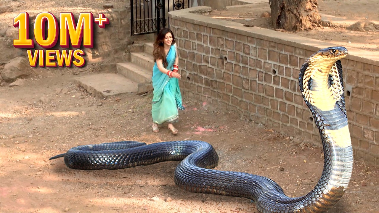 लड़की का पति बन गया इच्छाधारी नाग | Icchapyaari Naagin | New Naagin Episode 2023