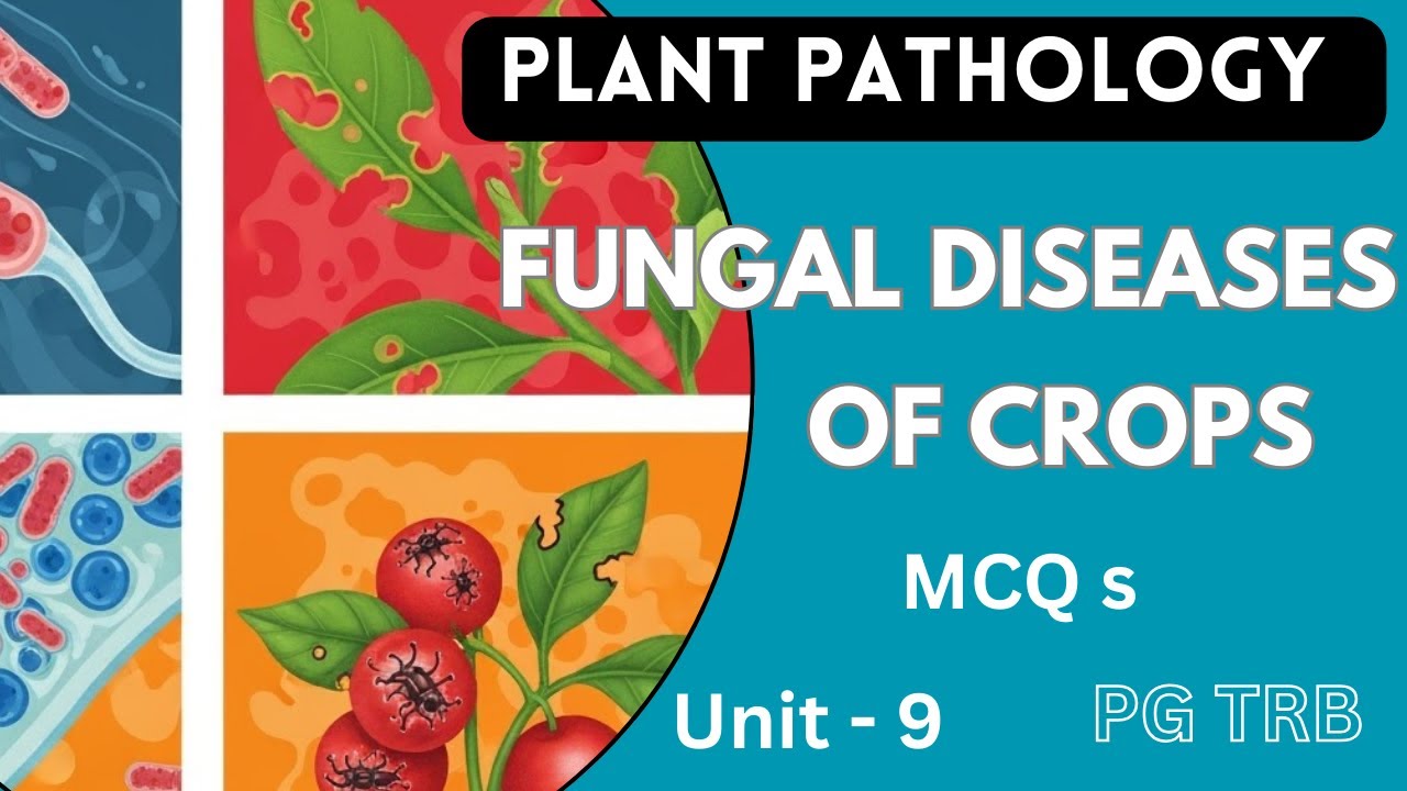 🌱🌱Plant Pathology MCQs | Important Fungal Diseases of Crops in Tamil | PG TRB Botany | Unit 9 MCQs