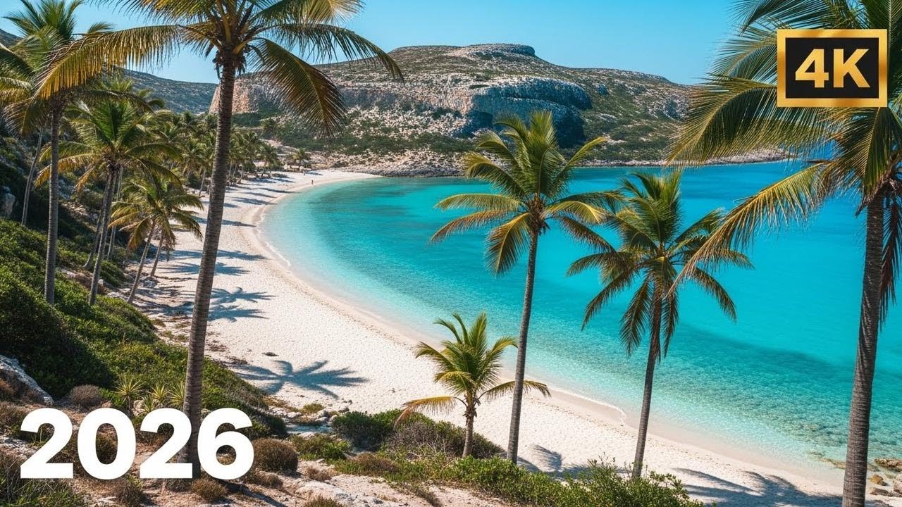 Deep House Mix 2026 🌴 Relaxing Chill House Music for Summer, Work & Night Drive Vol.1