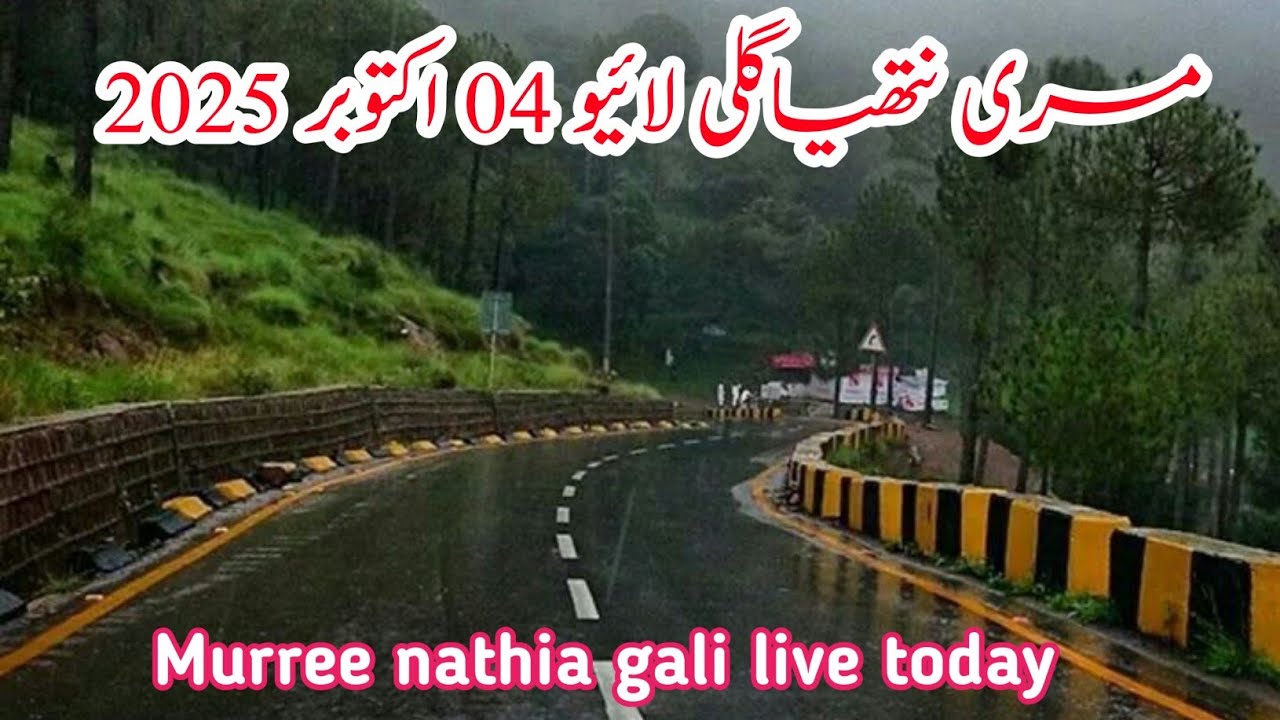 Murree live today | murree weather today | Nathia gali today #murree #nathiagali #pakistan #2025 