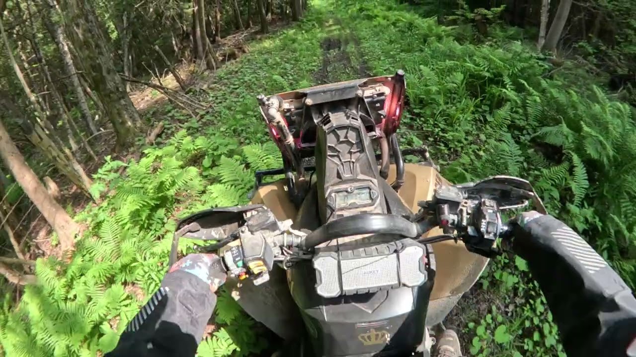 #wheelsinmud #explore #adventure #gopro #fullsendordontsend #4x4fun #sendit 