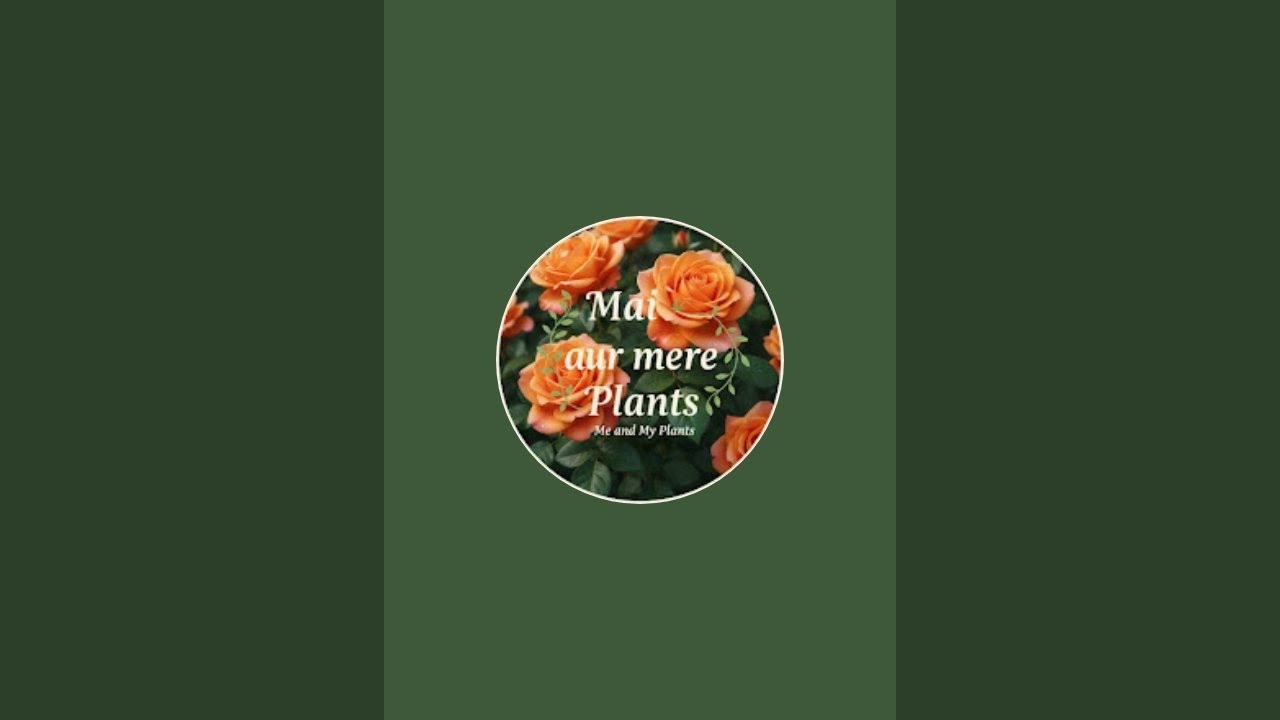 Mai Aur Mere Plants  is live #livestream #ytviral  #gardening 