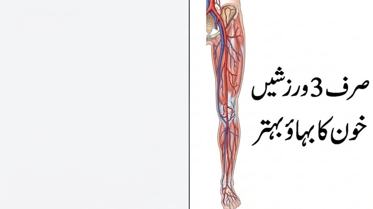 Blood circulation bethr krny KY lie ya 3 exercise lazmi krye Dr Jamil Mehrvai official 