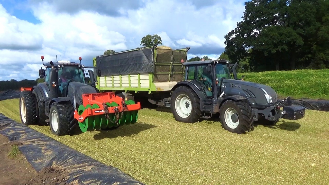 2025 Roossink corn silage