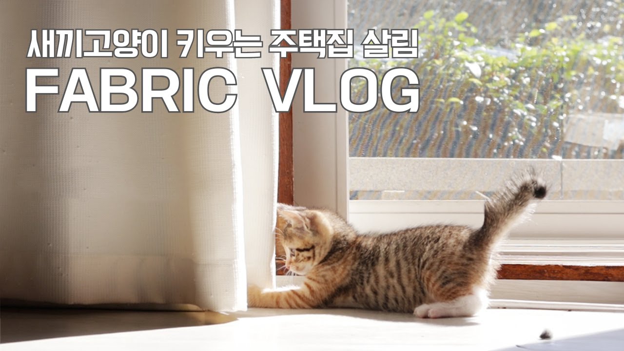 따뜻하고 아늑하게 가을살림 패브릭ㅣ새끼고양이 키우는 주택집 ㅣ가을마당🍂발매트 바이어스 만드는 방법ㅣHow to sew a comforter, Sewing, A cat house