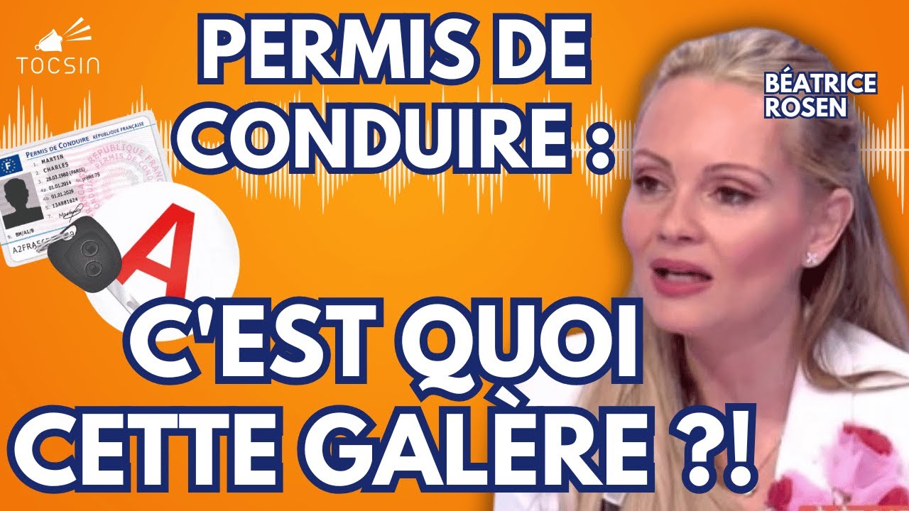 Contraintes, surveillance, id&eacute;ologie : le nouveau permis de conduire fran&ccedil;ais !