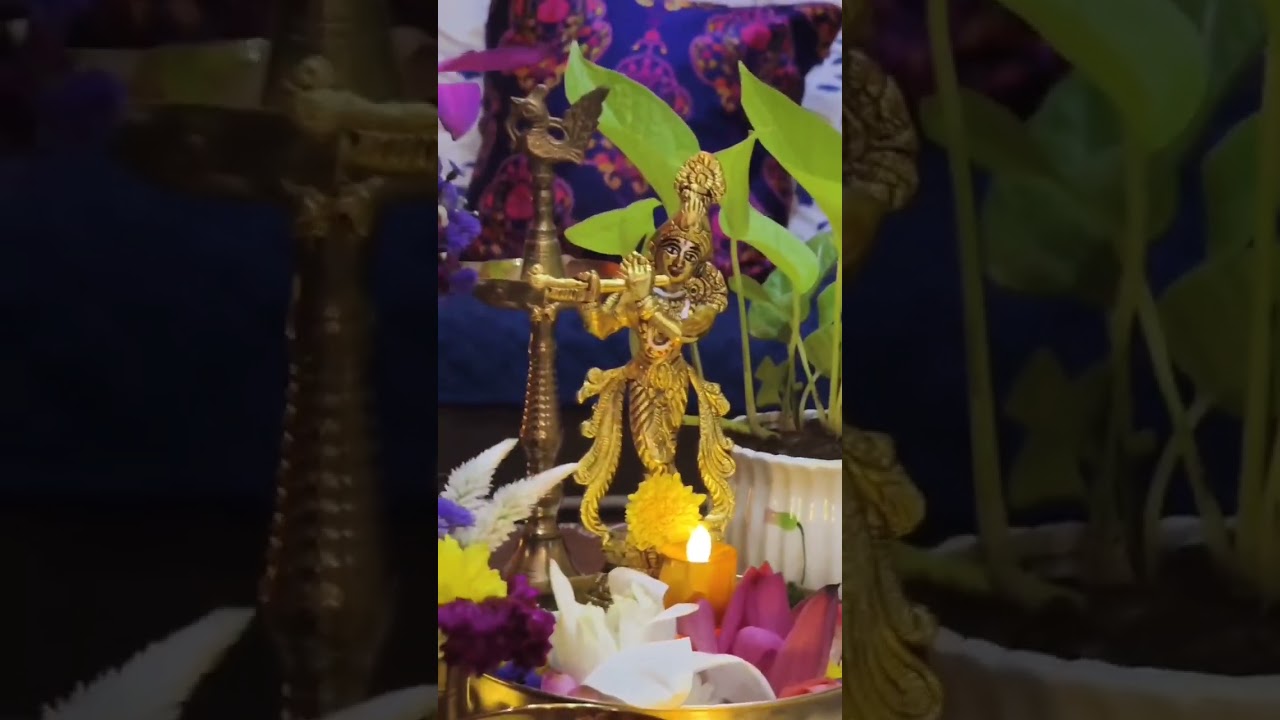 Diwali decoration of my house