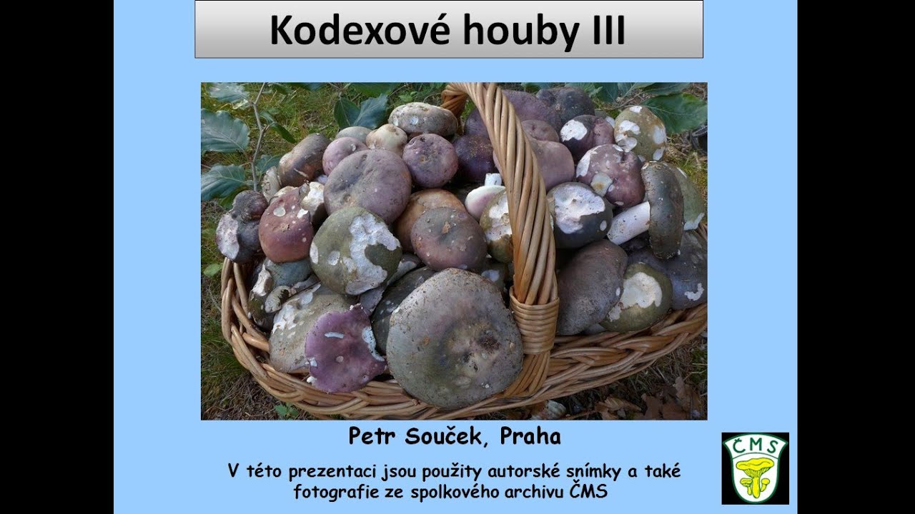Kodexové houby III - Petr Souček