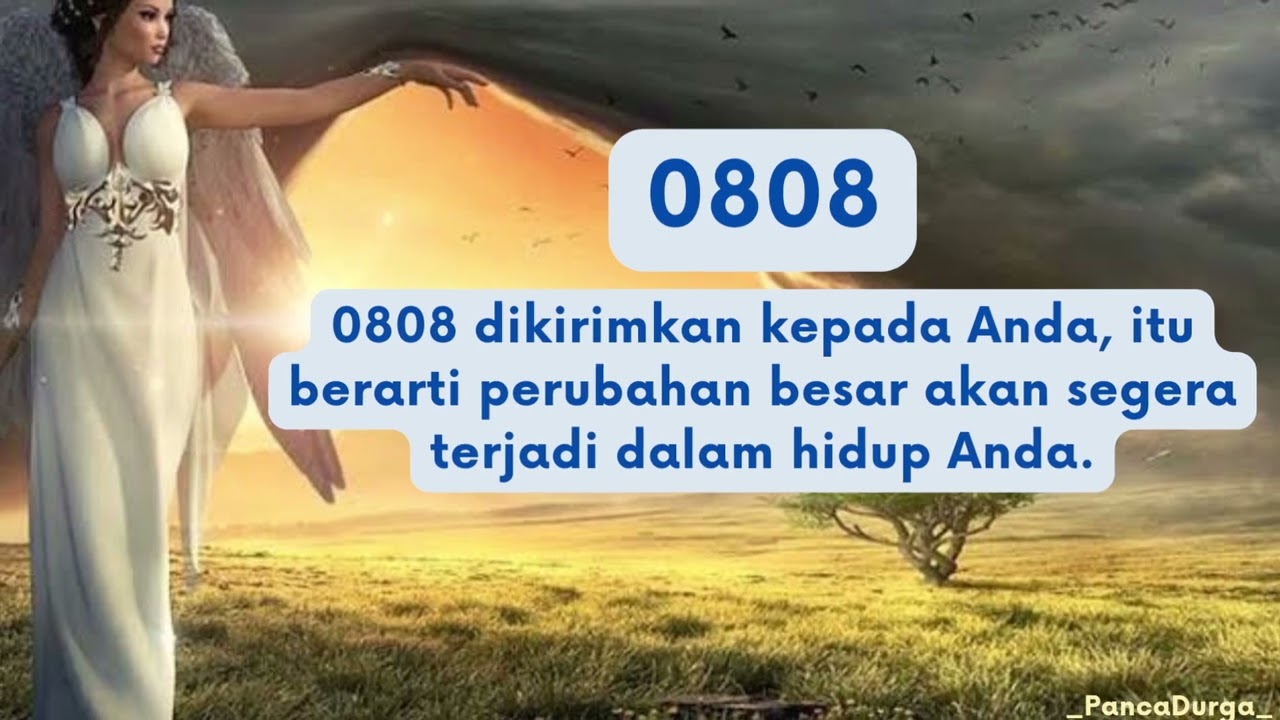 Angel Number 0808