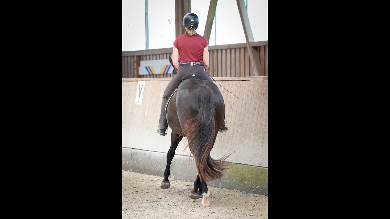 Schenkelweichen richtig reiten – die häufigsten Fehler & klare Hilfengebung erklärt!