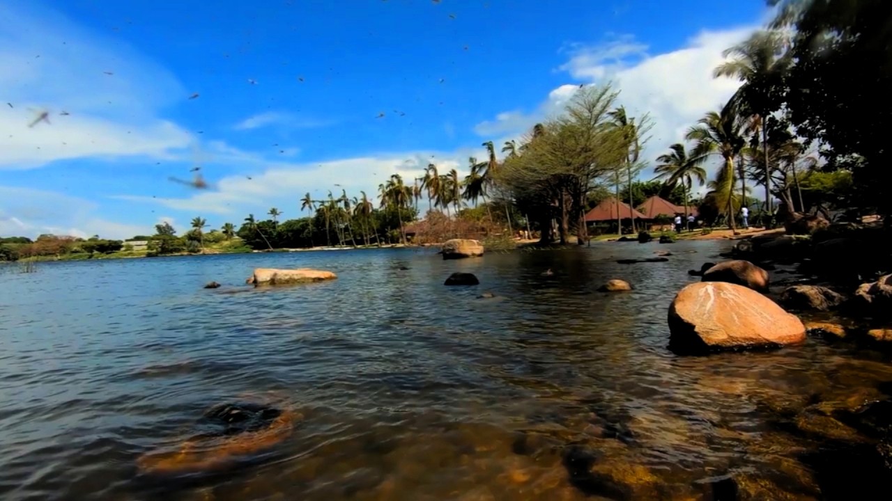 Beautiful Island on Lake Victoria | Beautiful Rocks, Water waves and Flowers | Takawiri