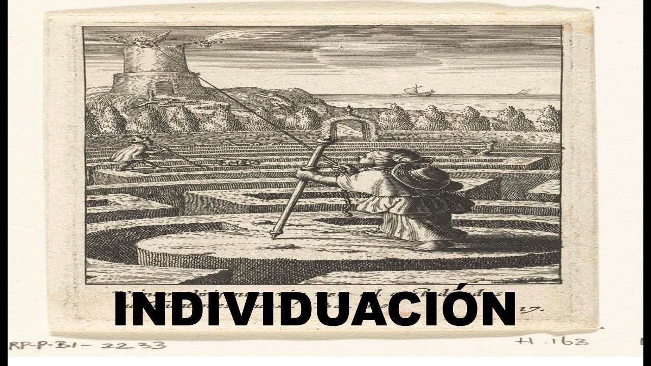 EL PROCESO DE INDIVIDUACIÓN