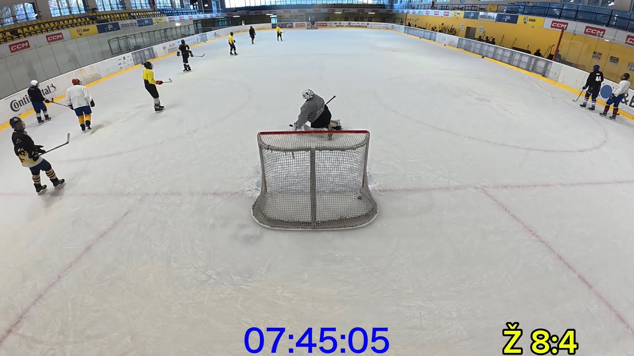 Hokej sestřih sobota 28.2.2026