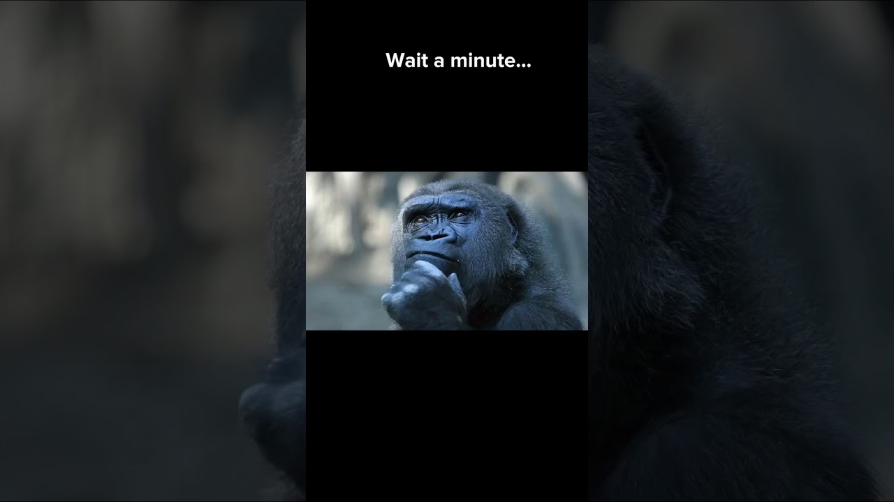 Wait a minute... 