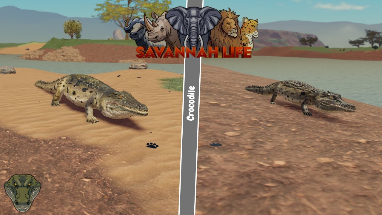 Hunting Players as Crocodile Savannah Life ⏐ Roblox PT4 🐊