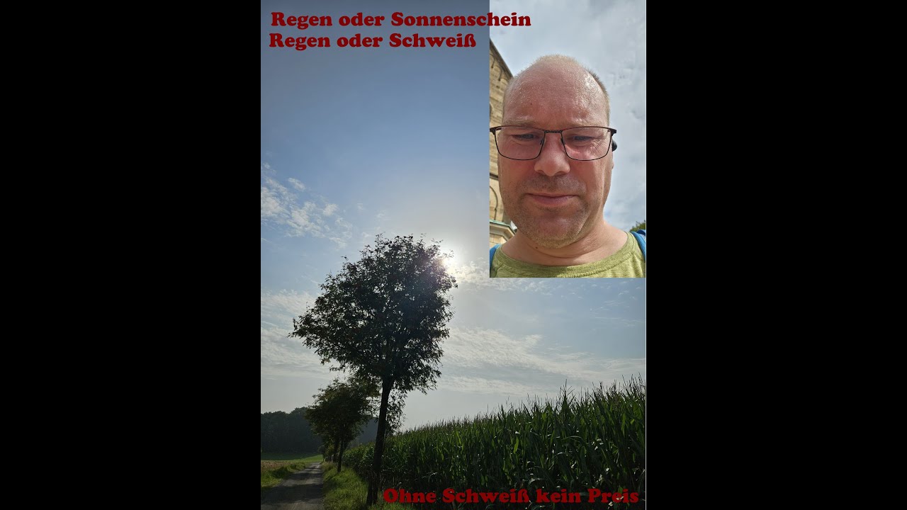 Bestes Wanderwetter in Mettingen - Wanderweg M3