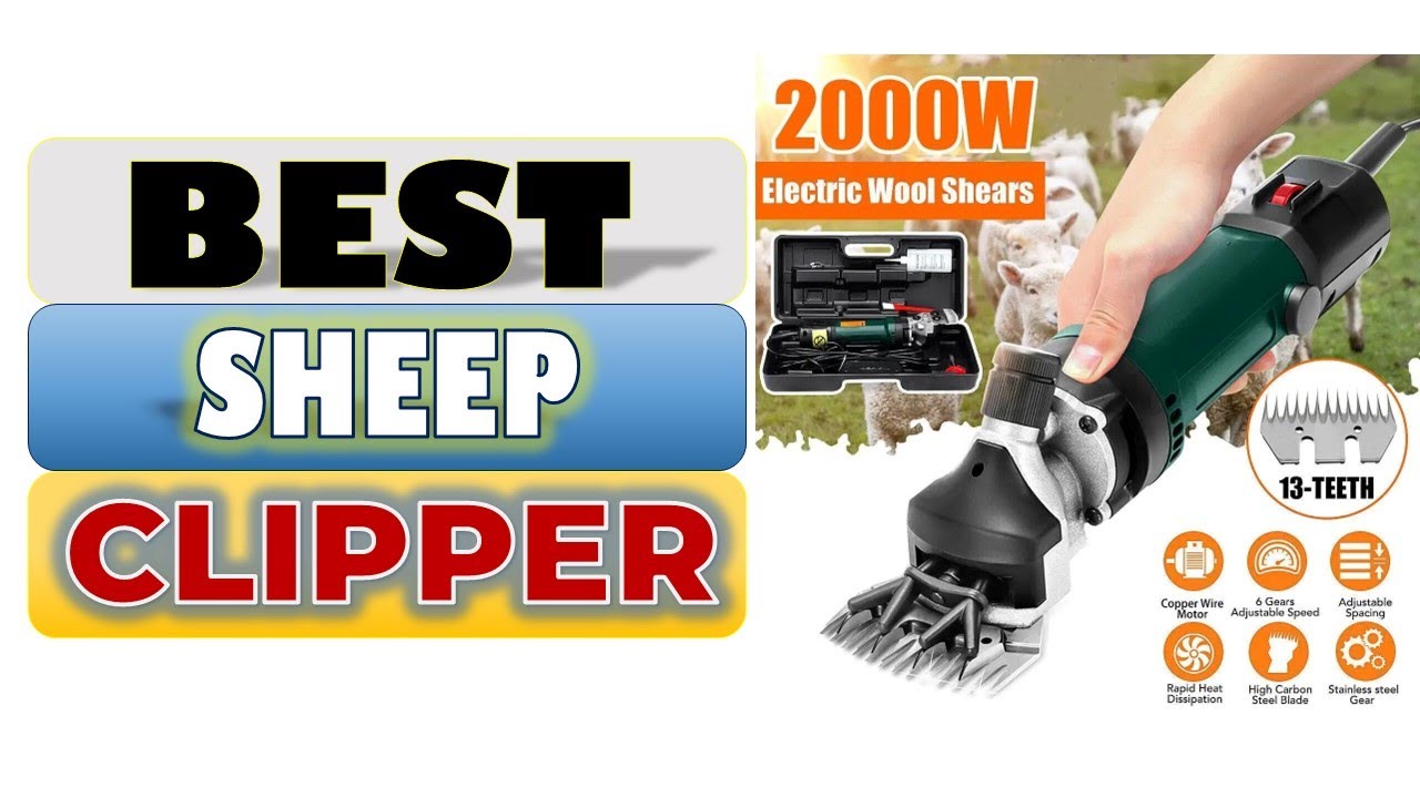 Top 5 Best Sheep Clippers in 2025 || From Aliexpress